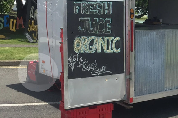 Honda Generators Everywhere